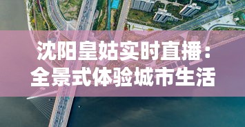 沈阳皇姑实时直播：全景式体验城市生活新方式