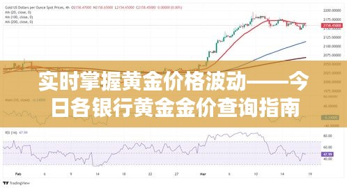 2024年12月20日 第9页