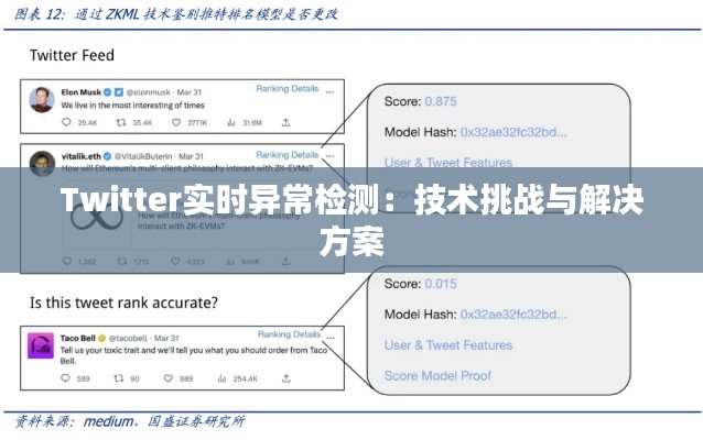 Twitter实时异常检测：技术挑战与解决方案