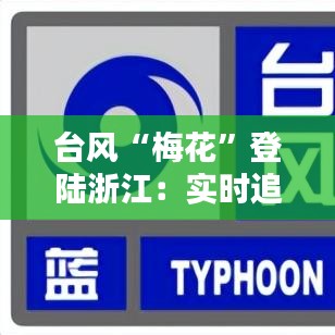 台风“梅花”登陆浙江：实时追踪与应对措施