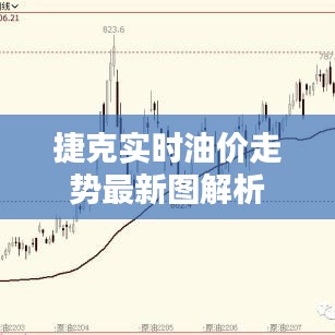 捷克实时油价走势最新图解析