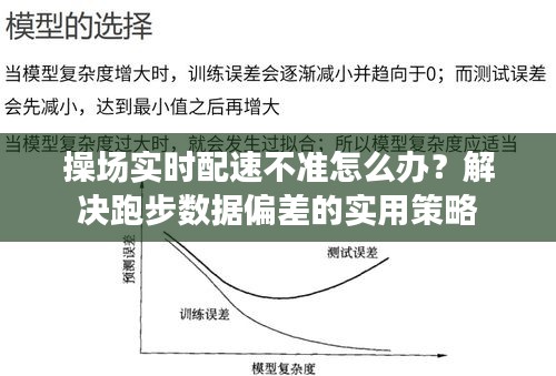 2024年12月21日 第29页