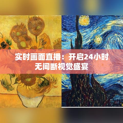 实时画面直播：开启24小时无间断视觉盛宴