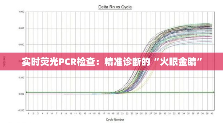 实时荧光PCR检查：精准诊断的“火眼金睛”