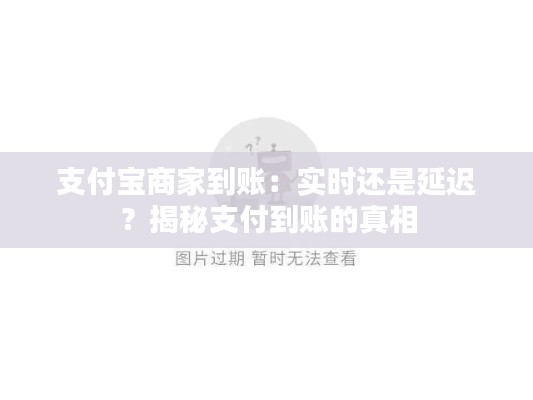 支付宝商家到账：实时还是延迟？揭秘支付到账的真相