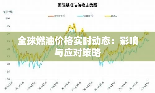 全球燃油价格实时动态：影响与应对策略