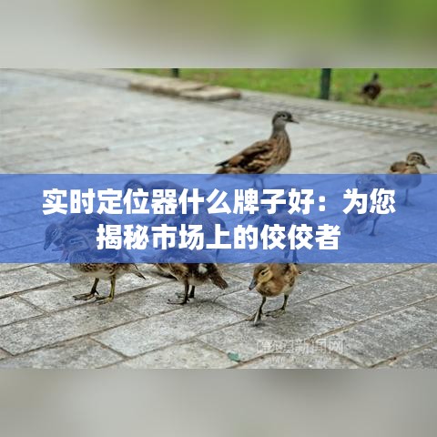 实时定位器什么牌子好：为您揭秘市场上的佼佼者