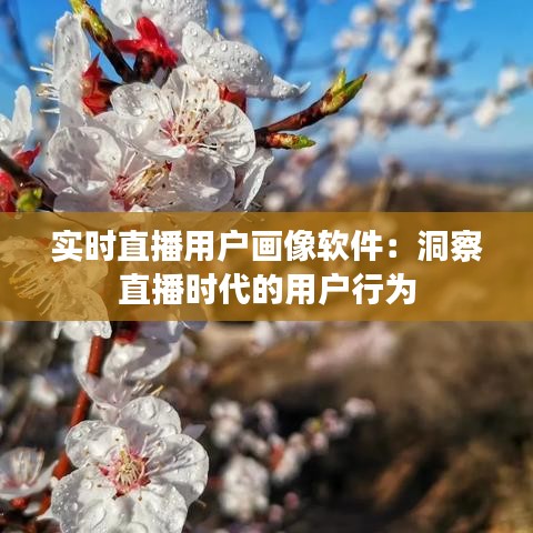 实时直播用户画像软件：洞察直播时代的用户行为