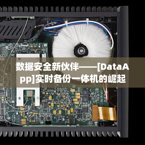 数据安全新伙伴——[DataApp]实时备份一体机的崛起