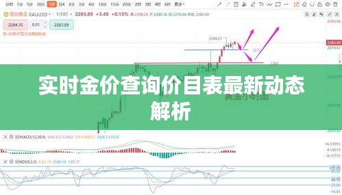 实时金价查询价目表最新动态解析