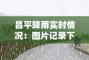 昌平降雨实时情况：图片记录下的雨中风景