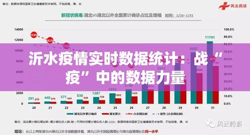 沂水疫情实时数据统计：战“疫”中的数据力量