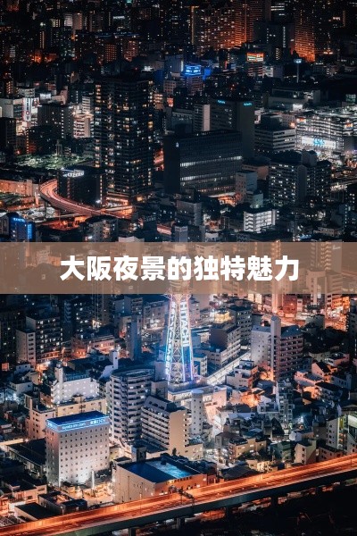 大阪夜景的独特魅力