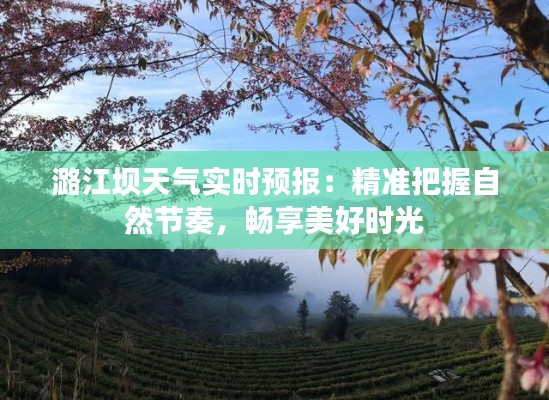 潞江坝天气实时预报：精准把握自然节奏，畅享美好时光