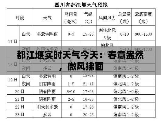 2024年12月22日 第8页