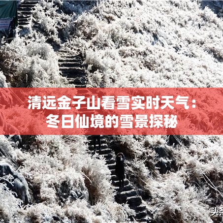 清远金子山看雪实时天气：冬日仙境的雪景探秘