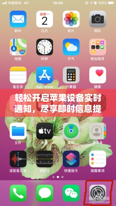 轻松开启苹果设备实时通知，尽享即时信息提醒