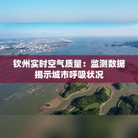 钦州实时空气质量：监测数据揭示城市呼吸状况