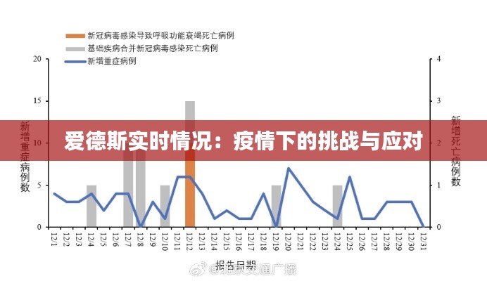 爱德斯实时情况：疫情下的挑战与应对