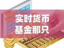 实时货币基金那只好：揭秘金融市场的“现金宝库”