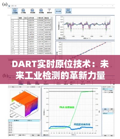 DART实时原位技术：未来工业检测的革新力量