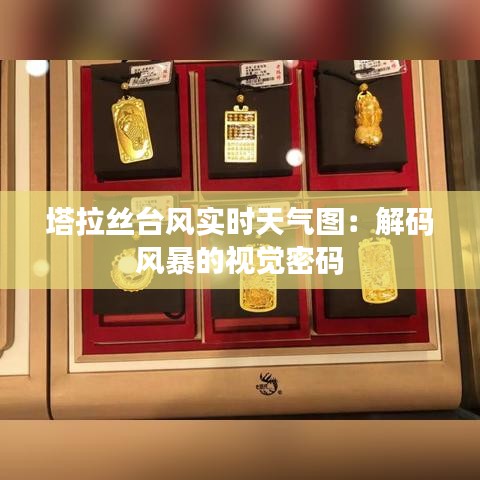 塔拉丝台风实时天气图：解码风暴的视觉密码