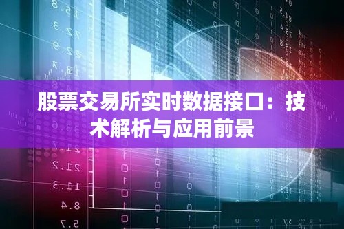 股票交易所实时数据接口：技术解析与应用前景