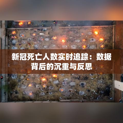 新冠死亡人数实时追踪：数据背后的沉重与反思