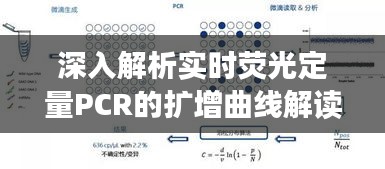 深入解析实时荧光定量PCR的扩增曲线解读技巧