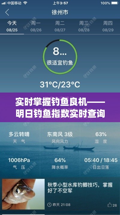 实时掌握钓鱼良机——明日钓鱼指数实时查询指南