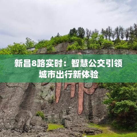 新昌8路实时：智慧公交引领城市出行新体验