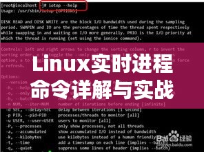 Linux实时进程命令详解与实战应用