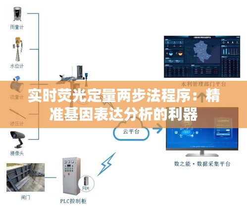 实时荧光定量两步法程序：精准基因表达分析的利器