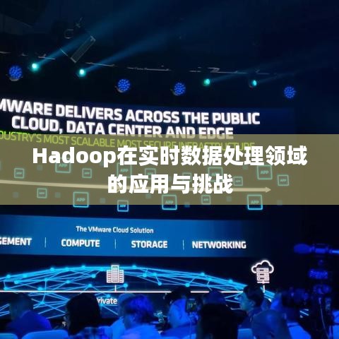 Hadoop在实时数据处理领域的应用与挑战