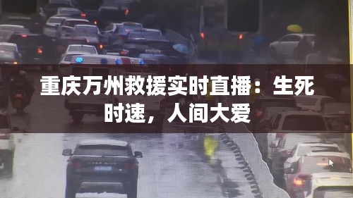 重庆万州救援实时直播：生死时速，人间大爱