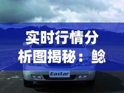 实时行情分析图揭秘：鲶鱼市场动态一览