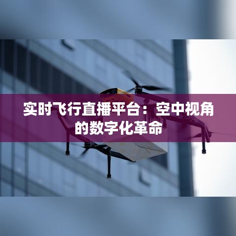 实时飞行直播平台：空中视角的数字化革命