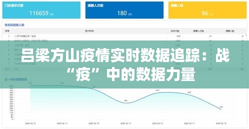 吕梁方山疫情实时数据追踪：战“疫”中的数据力量