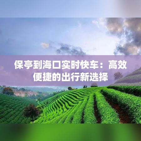 保亭到海口实时快车：高效便捷的出行新选择