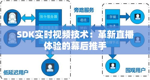 SDK实时视频技术：革新直播体验的幕后推手