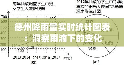 德州降雨量实时统计图表：洞察雨滴下的变化