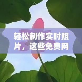 轻松制作实时照片，这些免费网站让你成为摄影大师