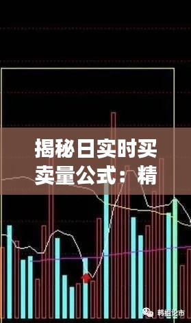 揭秘日实时买卖量公式：精准把握市场脉搏的利器