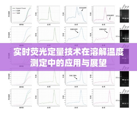 实时荧光定量技术在溶解温度测定中的应用与展望