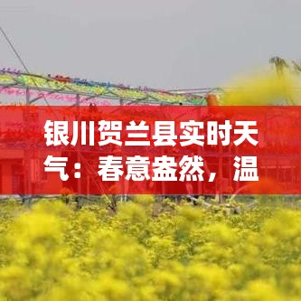 银川贺兰县实时天气：春意盎然，温暖宜人