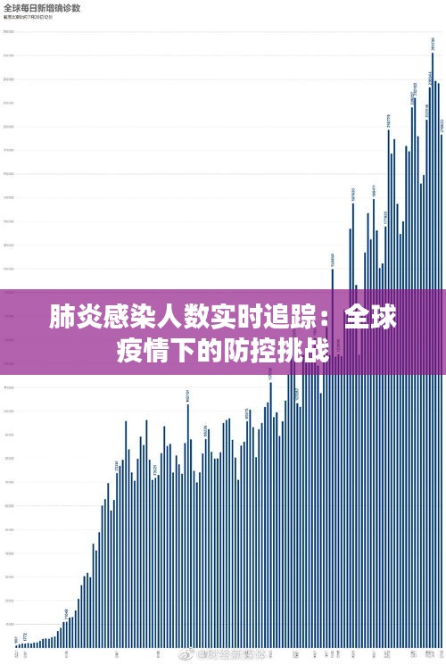 肺炎感染人数实时追踪：全球疫情下的防控挑战