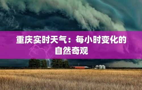 重庆实时天气：每小时变化的自然奇观