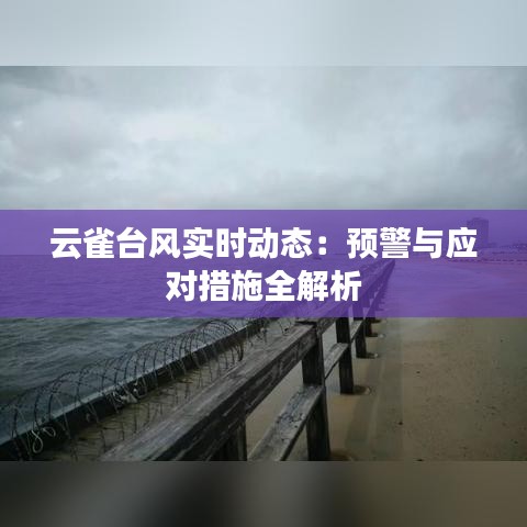 云雀台风实时动态：预警与应对措施全解析