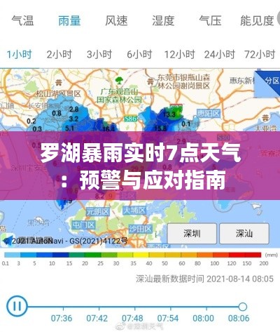 罗湖暴雨实时7点天气：预警与应对指南