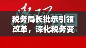 税务局长批示引领改革，深化税务变革，服务效能大提升